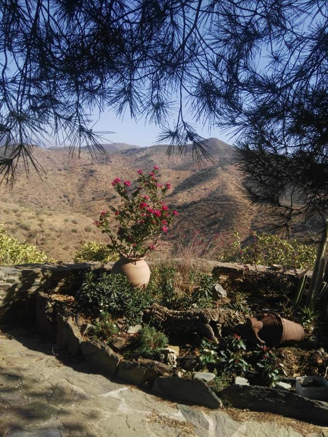 Pinar El Almendra Vakantiehuis